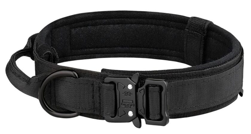 Top 3 Dog Collars In USA 2024