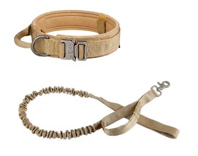 Top 3 Dog Leashes In USA 2024